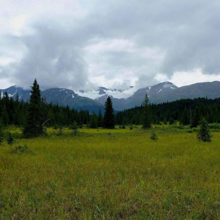 Near Resurrection River Trail #319