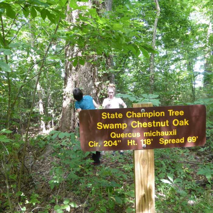 Near Bottomland Trail