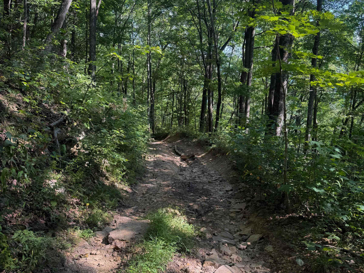 Standing Stone Ridge Trail 24  photo 4