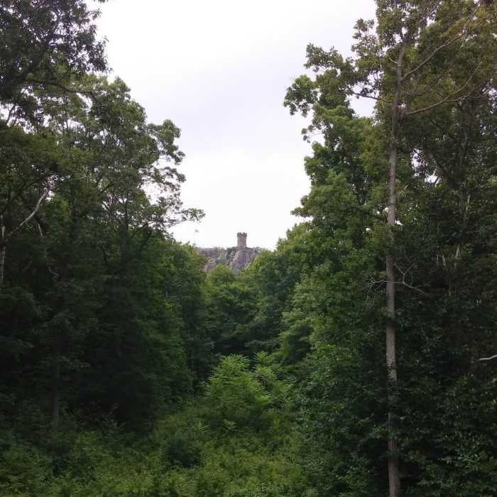 Near White Trail
