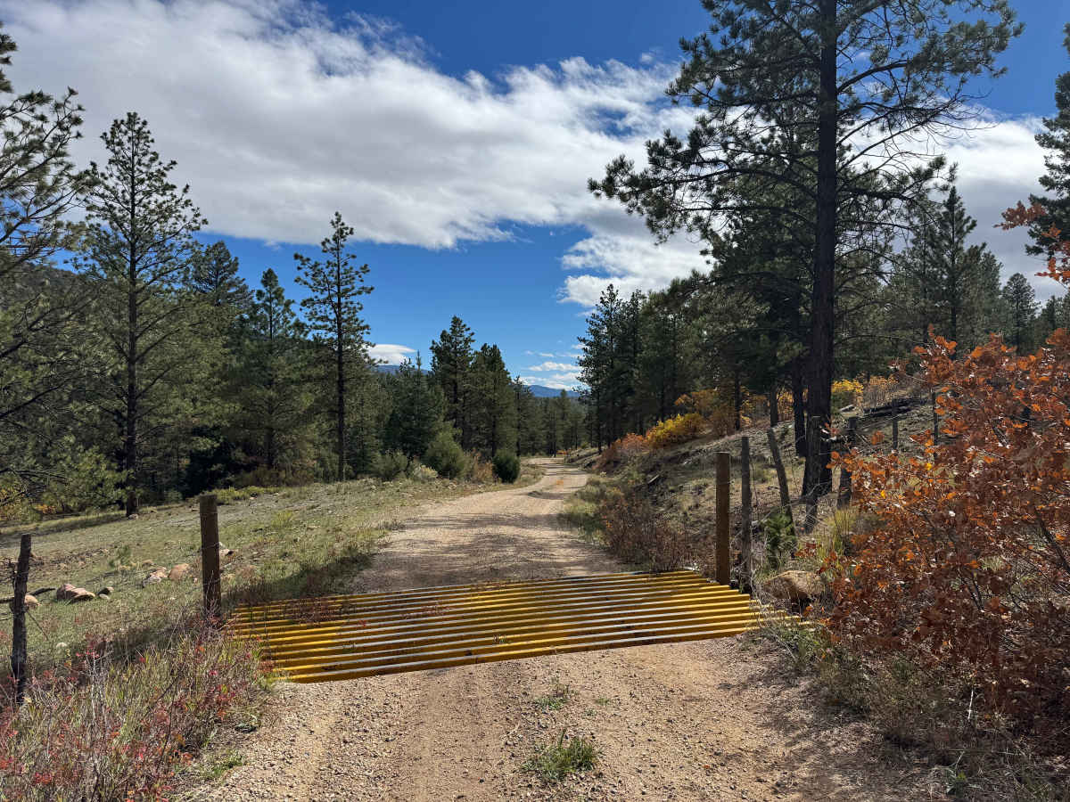 FS 630 trail photo
