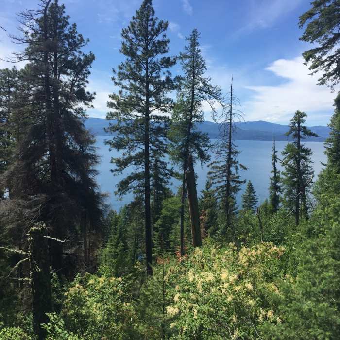 Near Beardance Trail #76