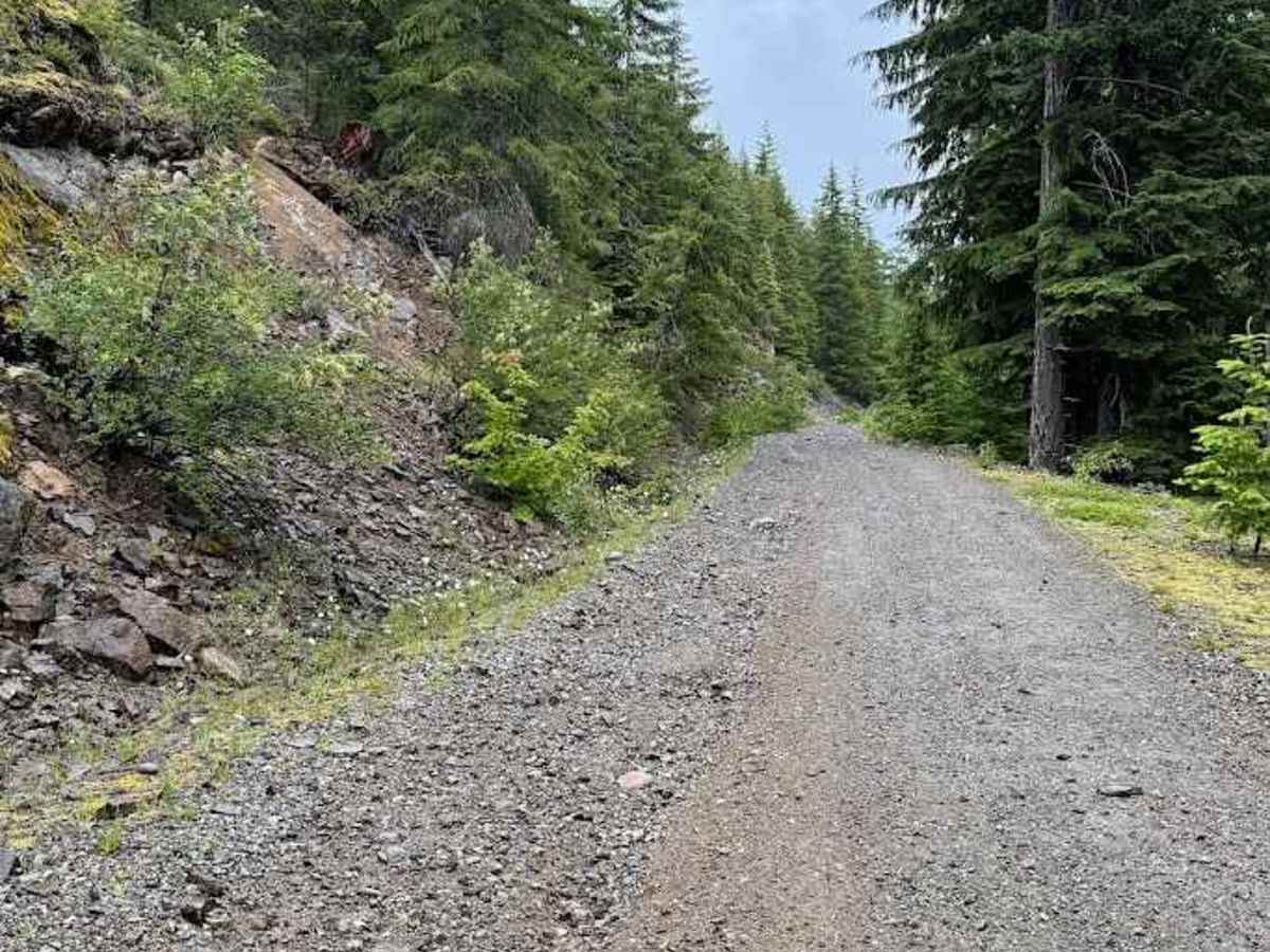 FS 5483114 trail photo
