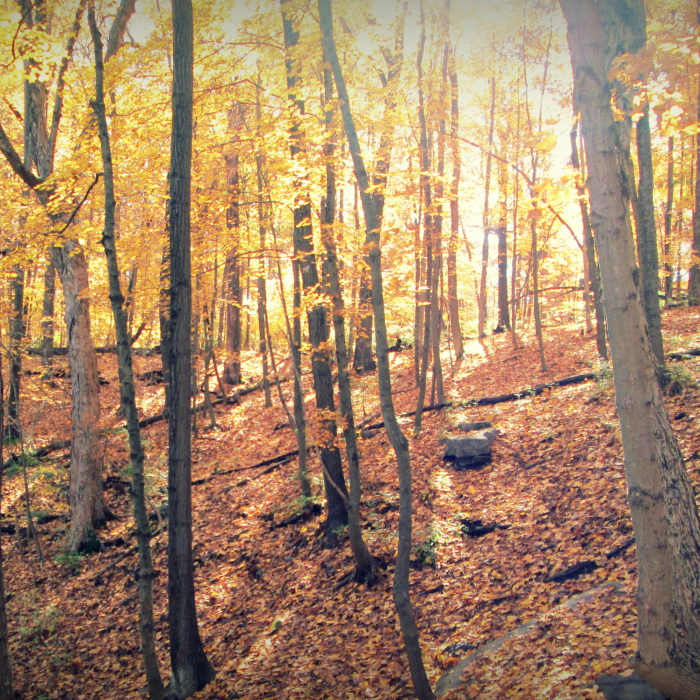 Autumn along the Spring Valley Trail Near Spring Valley Inner Loop