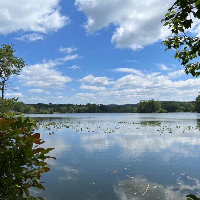 Near Ranger Loop Trail Near Ranger Loop Trail