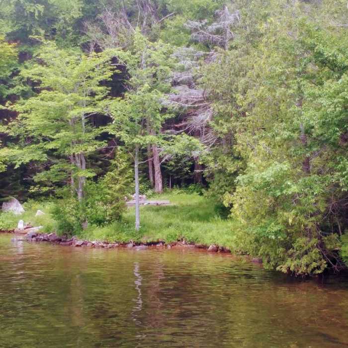 Near Whiteface Landing