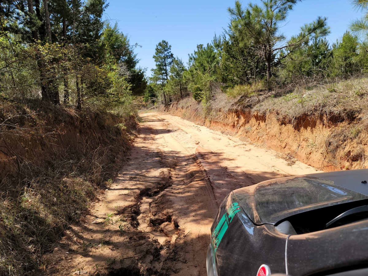 The Arkansas Overland Route - Section 4 - Poison Springs WMA and Purifoy Cemetery trail photo