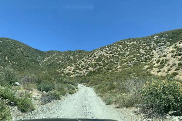 Sharpless Ranch