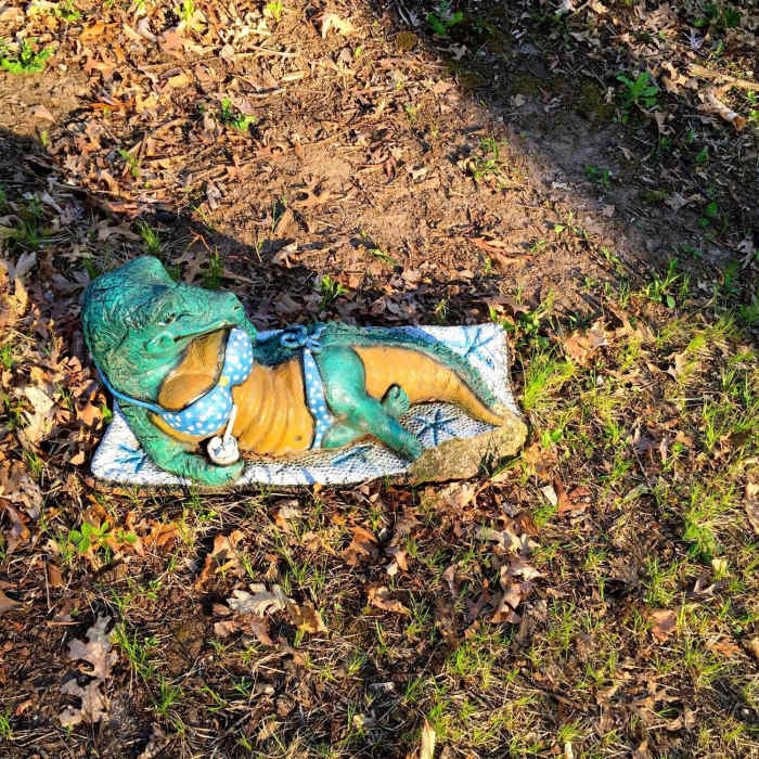 Near Ice Age Trail: Table Bluff Segment