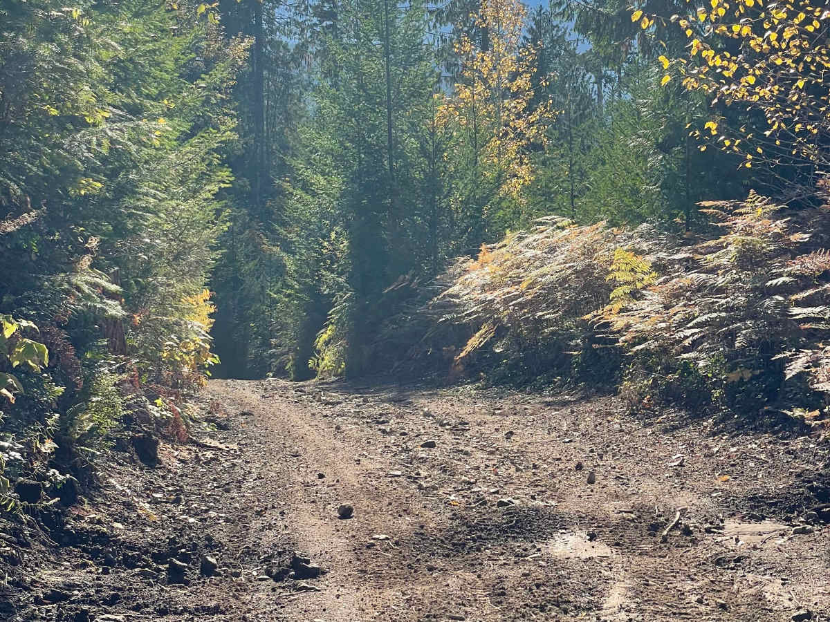 Skidder Hill photo 6