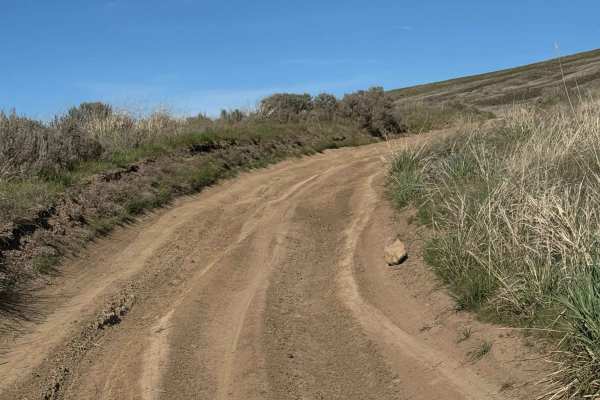 Roza Creek Road