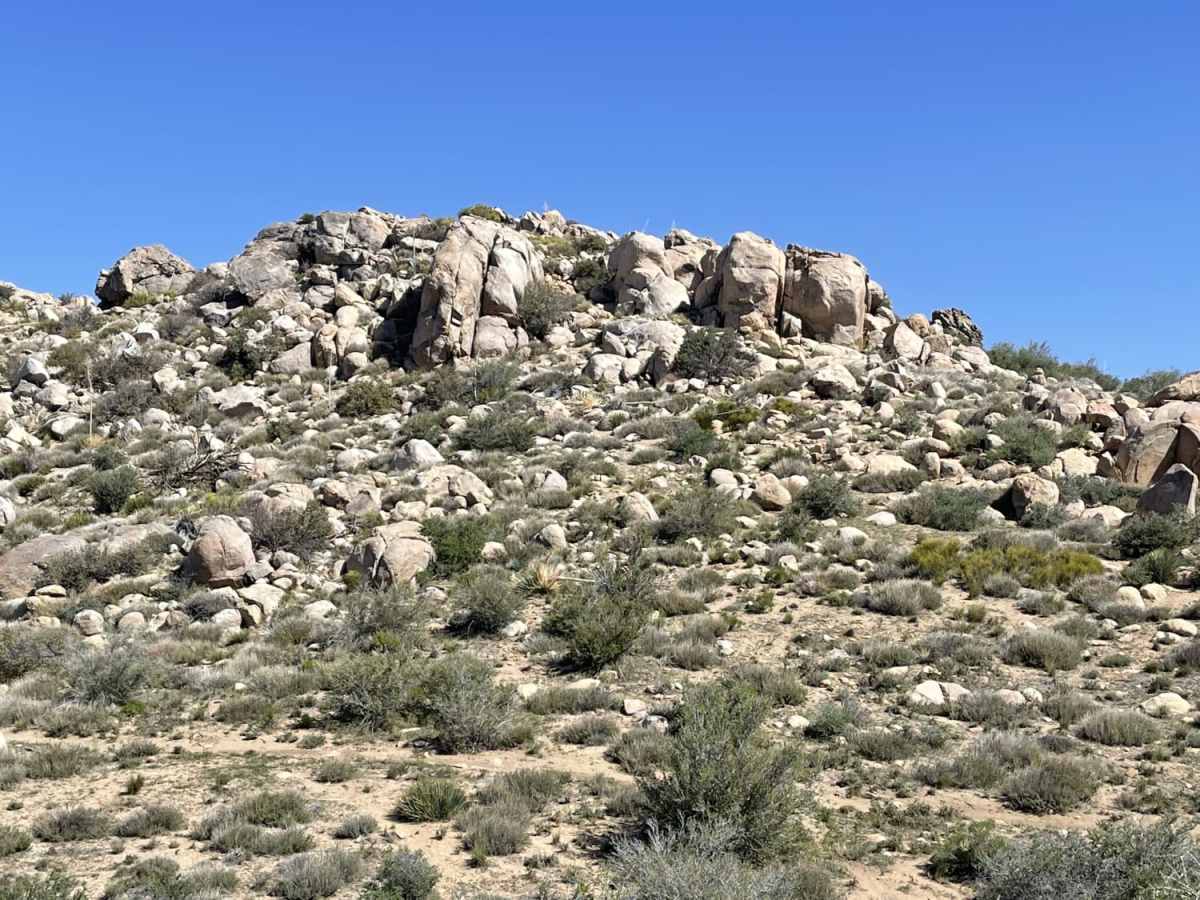 Luna Mountain Crossover trail photo