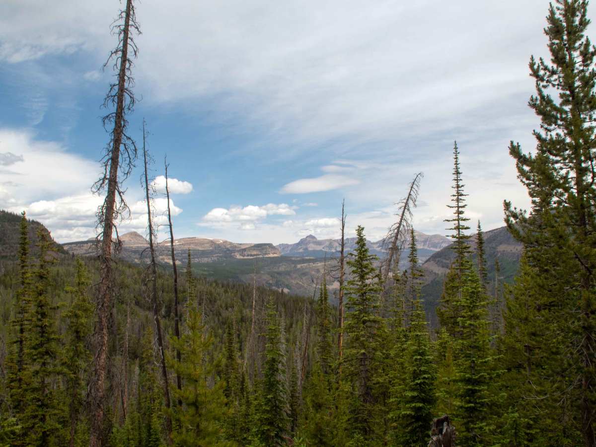 Cobble Creek S14 - FR80949 trail photo