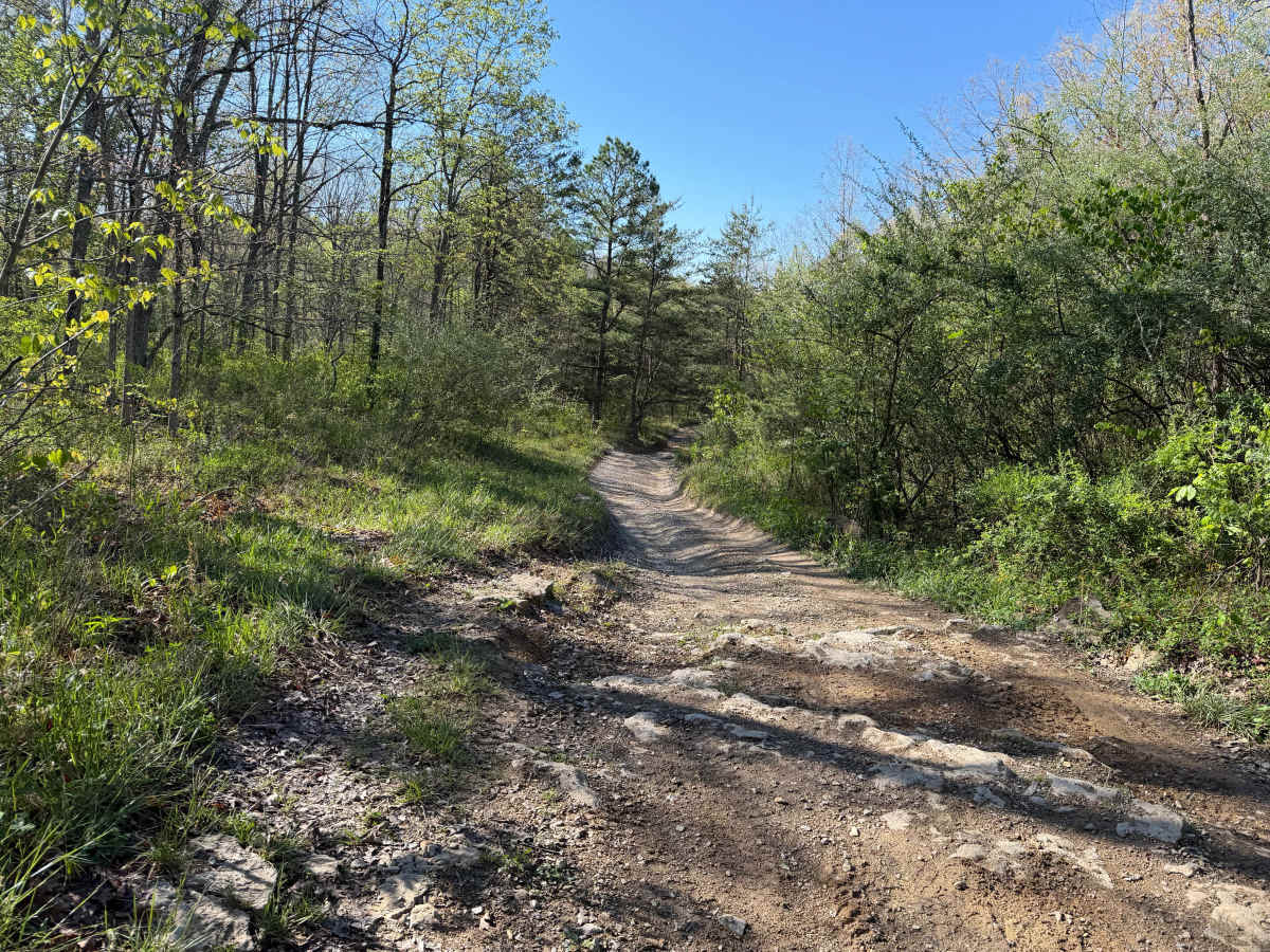Bear Claw Trail photo 4