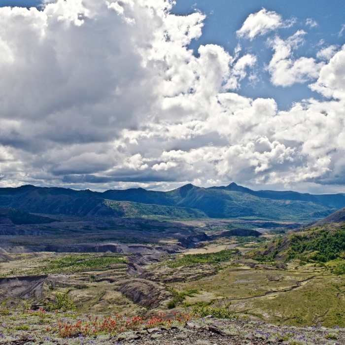 Near Harry's Ridge via Johnston Ridge Observatory