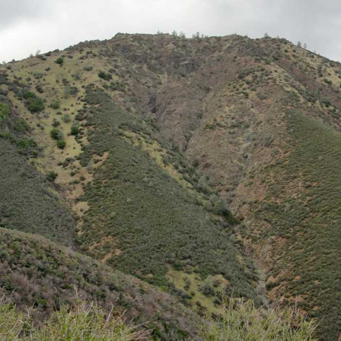 Eagle Peak seen from Back Creek Trail. Near Back Creek Trail