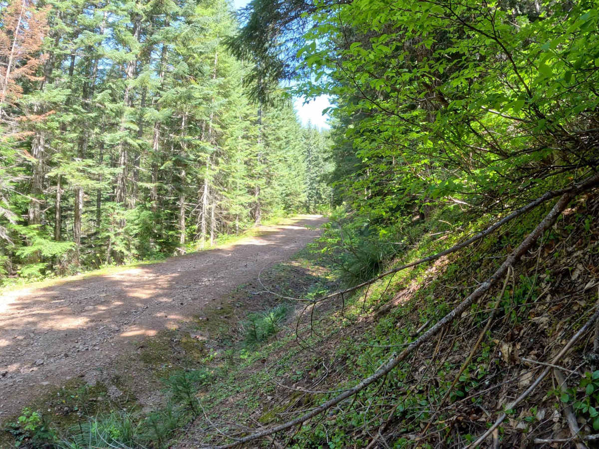 Crest View photo 5