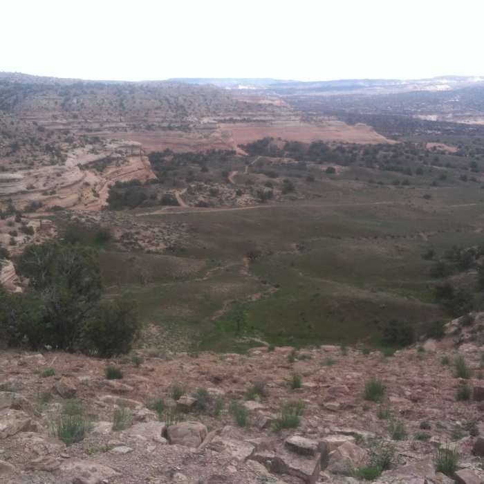 Near Rabbit Valley 4