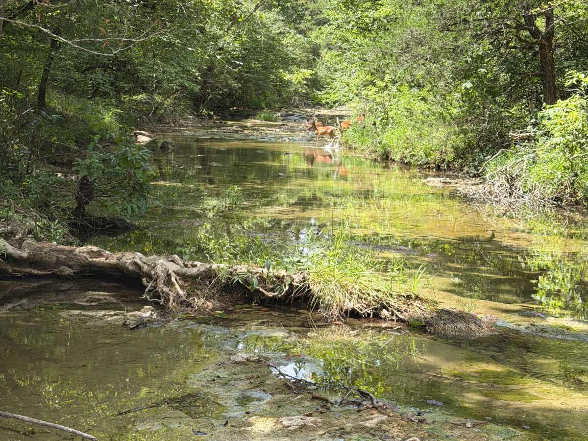 County Road 114 photo 5