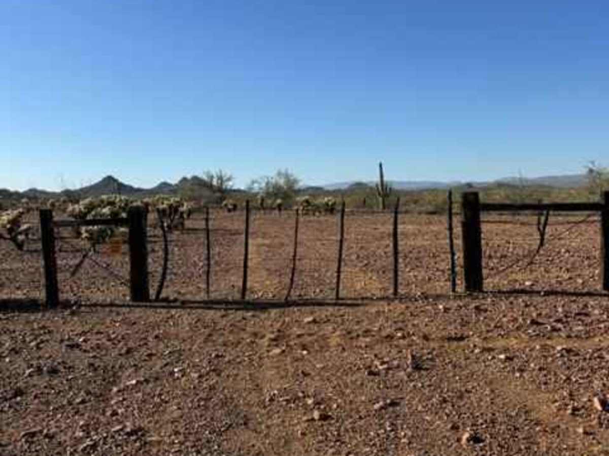 BLM 38069 photo 3