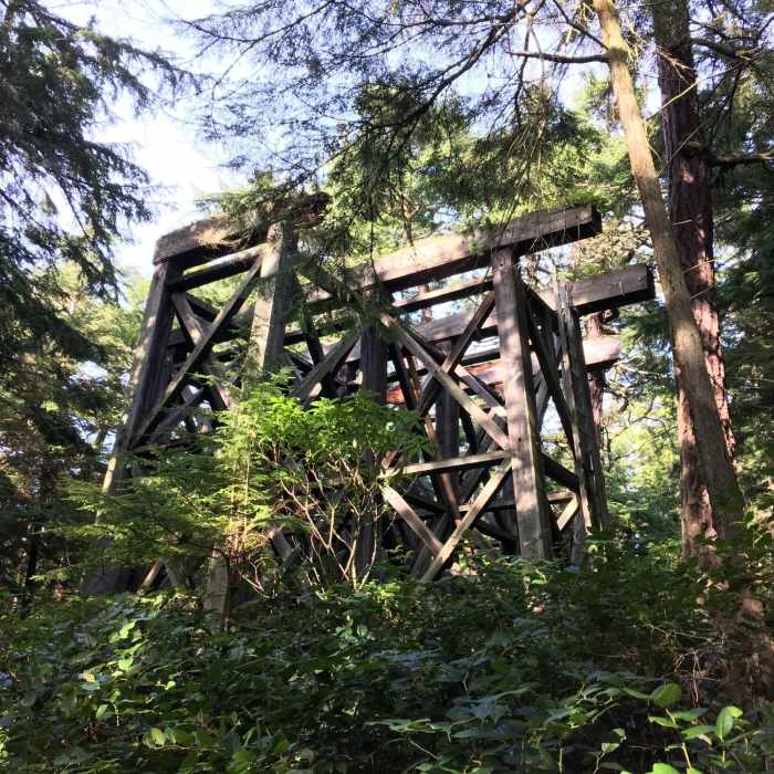 Near Brave Heart Trail