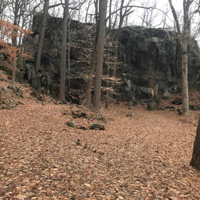 Near North-South County Trailway: New Castle Section: Route 117 to Eastview
