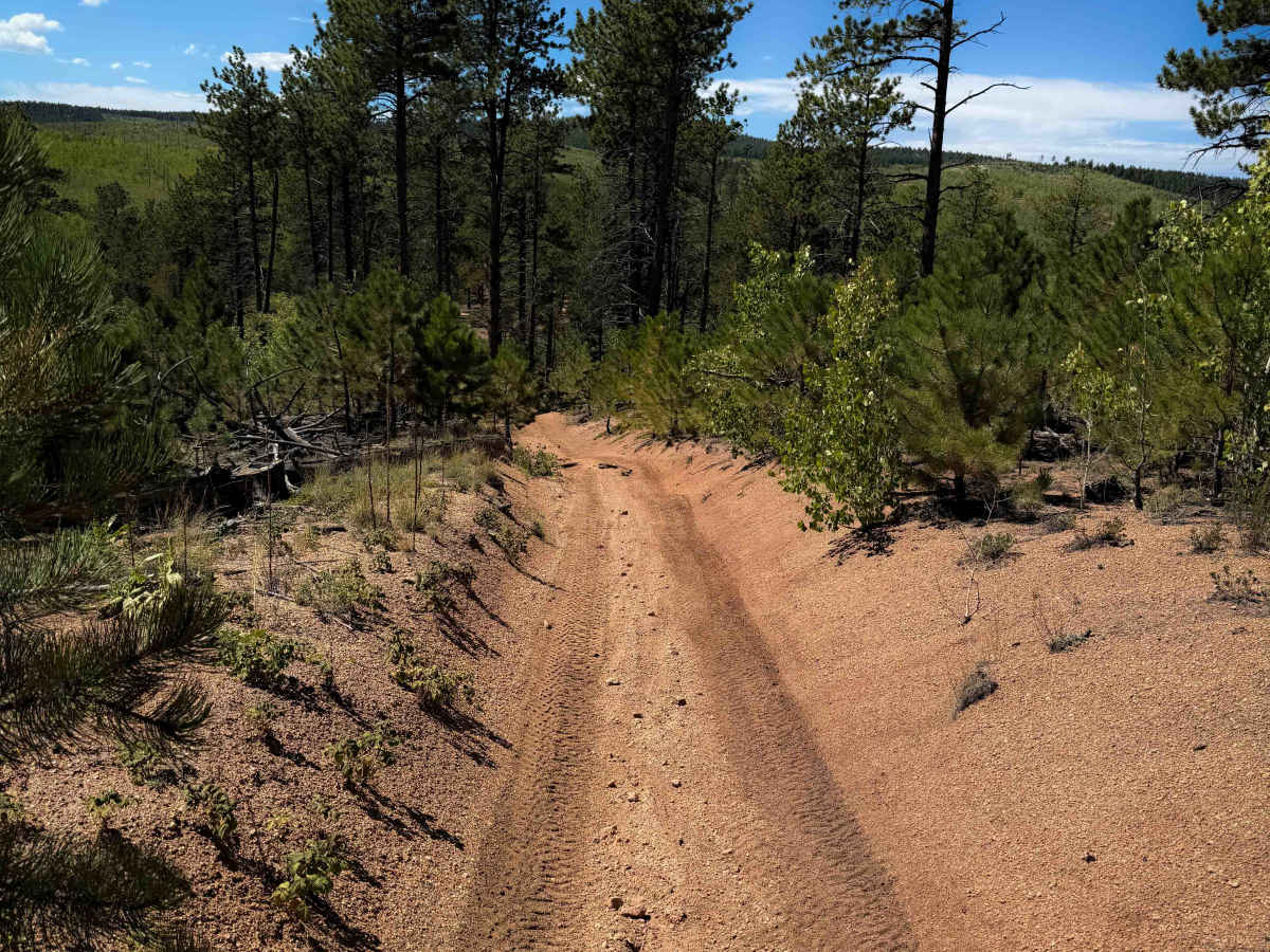 Wildhorn Spur 717E  photo 6
