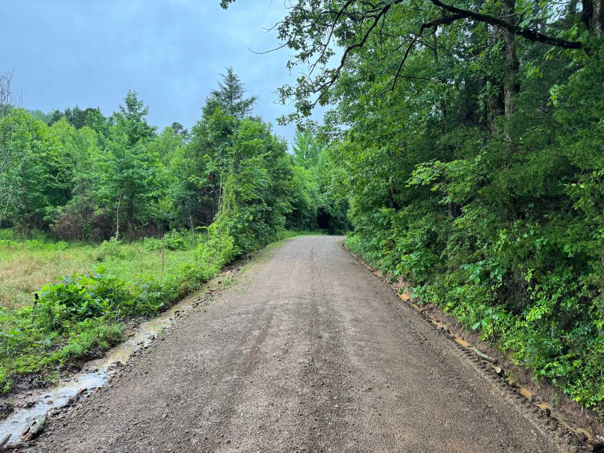Ryan Road photo 5