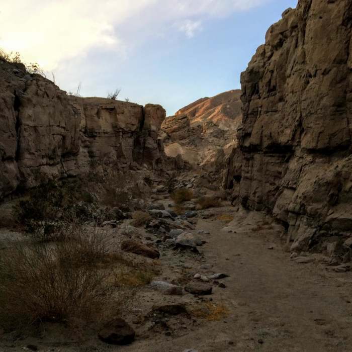 Near Calcite Mine and Narrows Loop