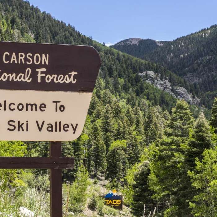 Near Williams Lake Hike