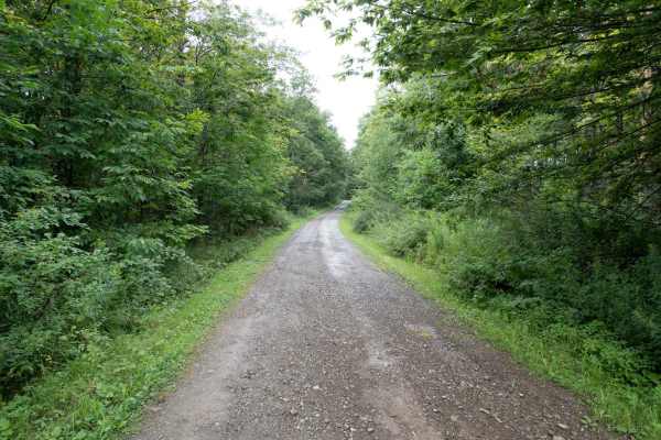 Stone Tower Road