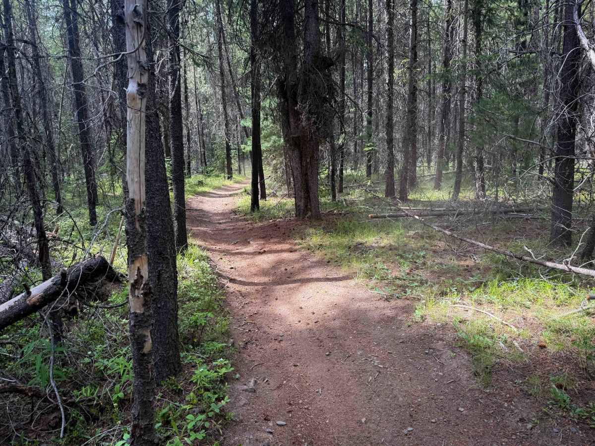 Sherry Spur Ditch Trail   photo 4