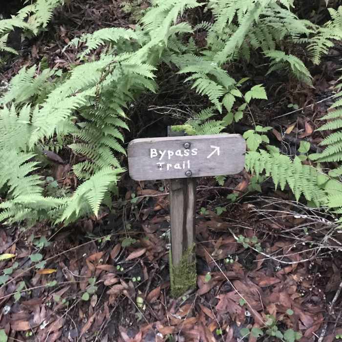 Near Hostel/Grapevine/Creek Trail Loop