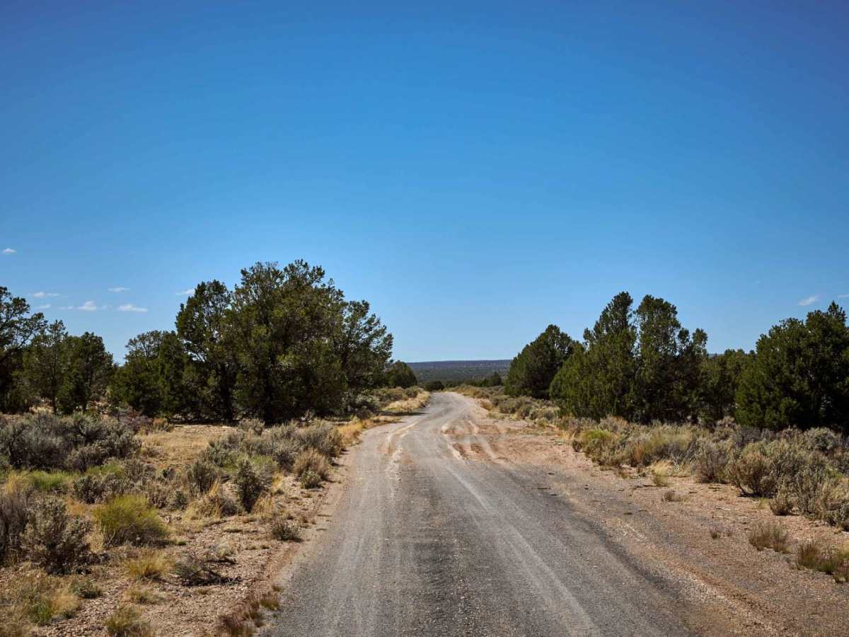 Old 64 / Tusayan Road trail photo