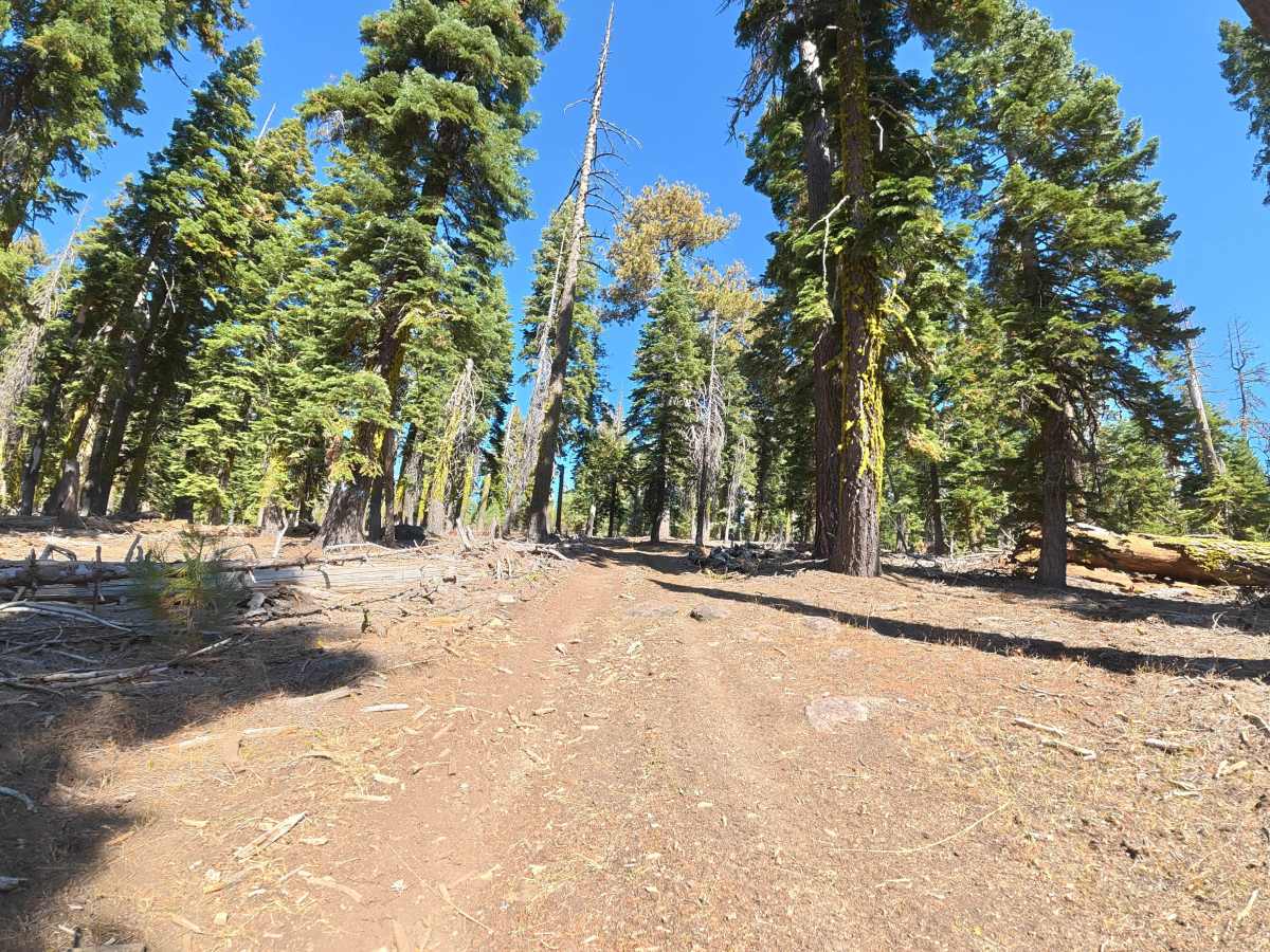 FS 17EV497 photo 3