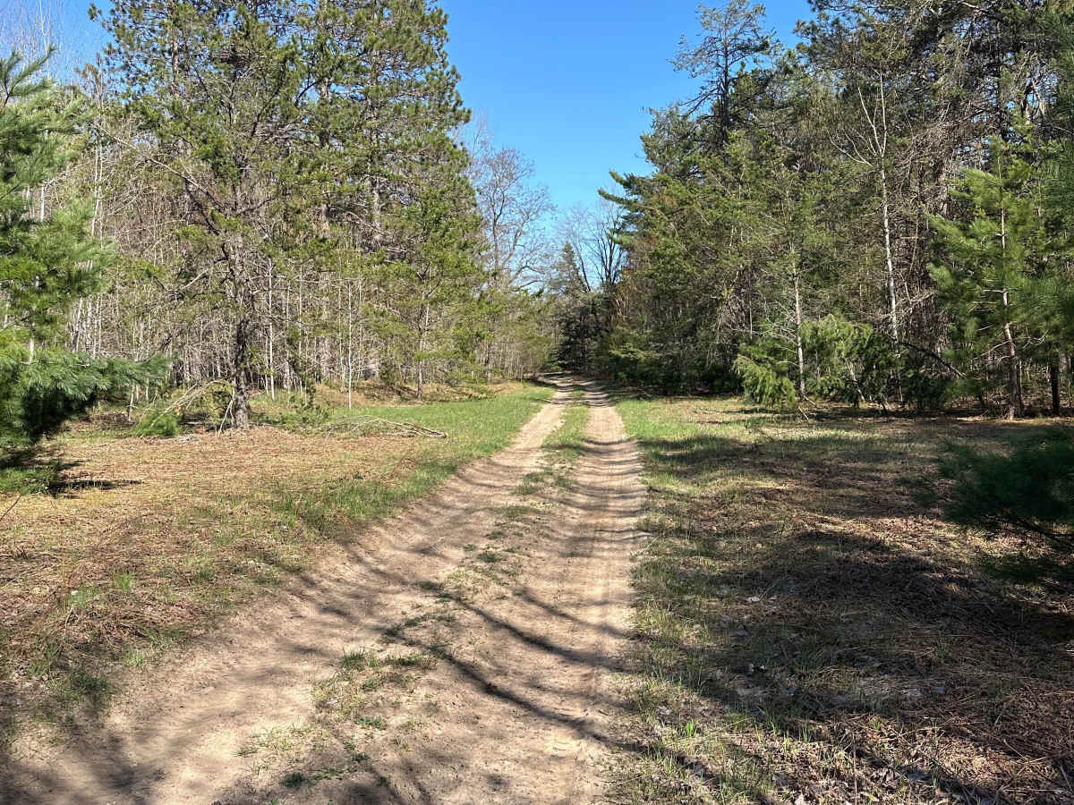 Crooked Road photo 6