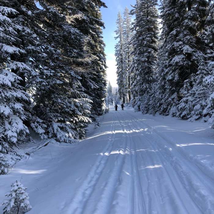 Near Red Fox Racetrack
