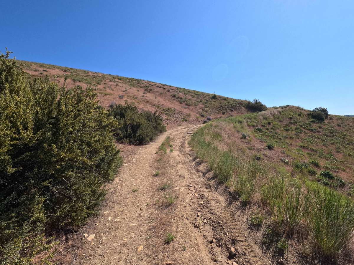 Powerline Road - FS 5303 photo 6