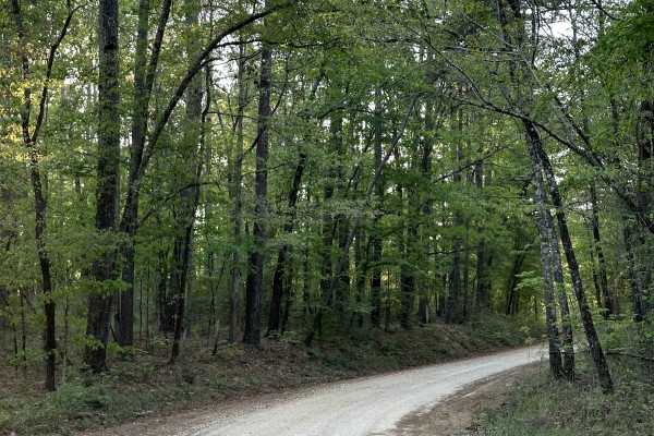 County Road 1125