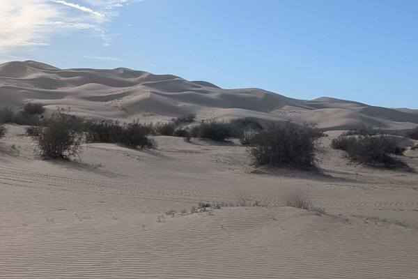 The Sand Highway