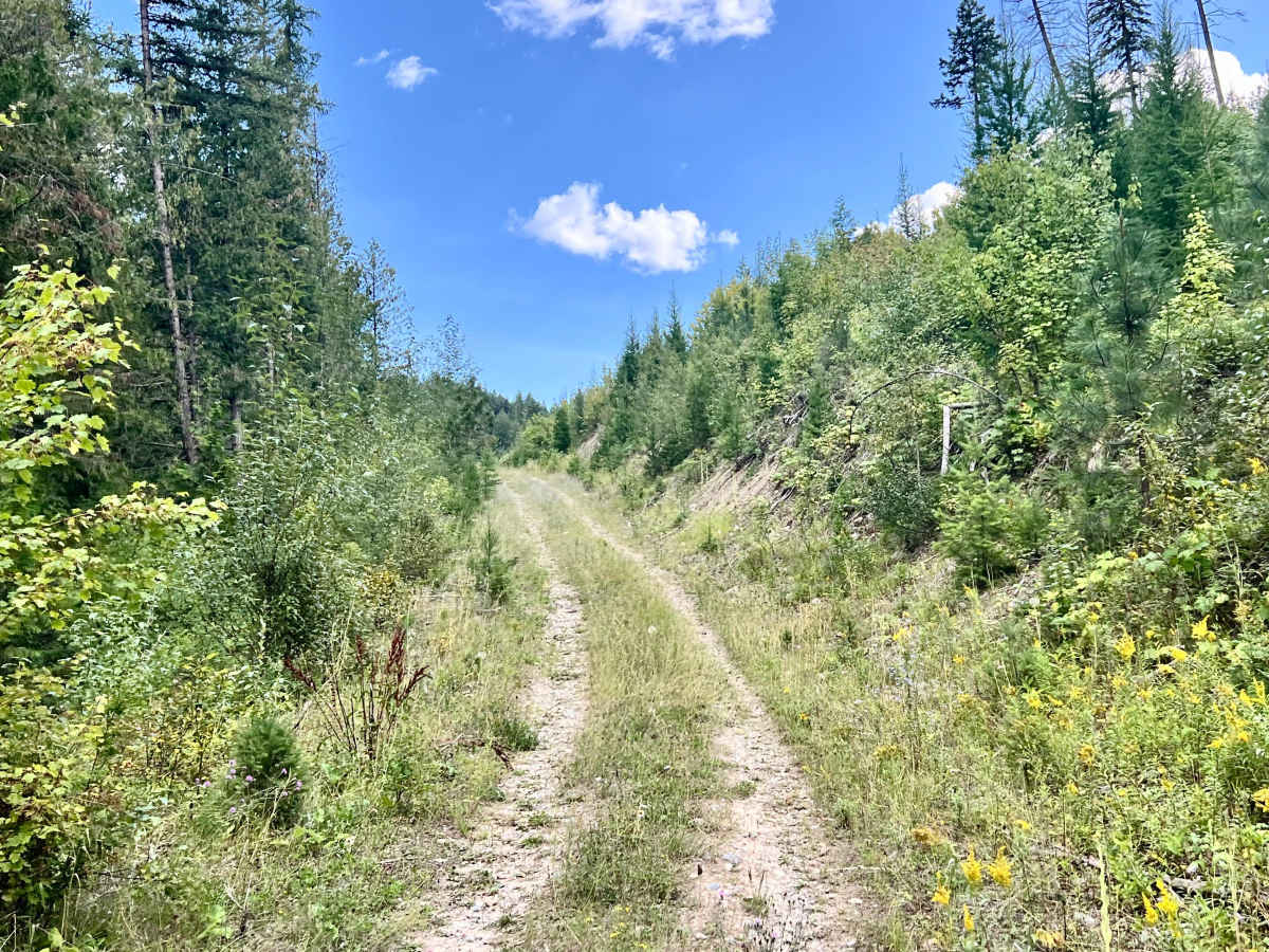 Gold Creek photo 5