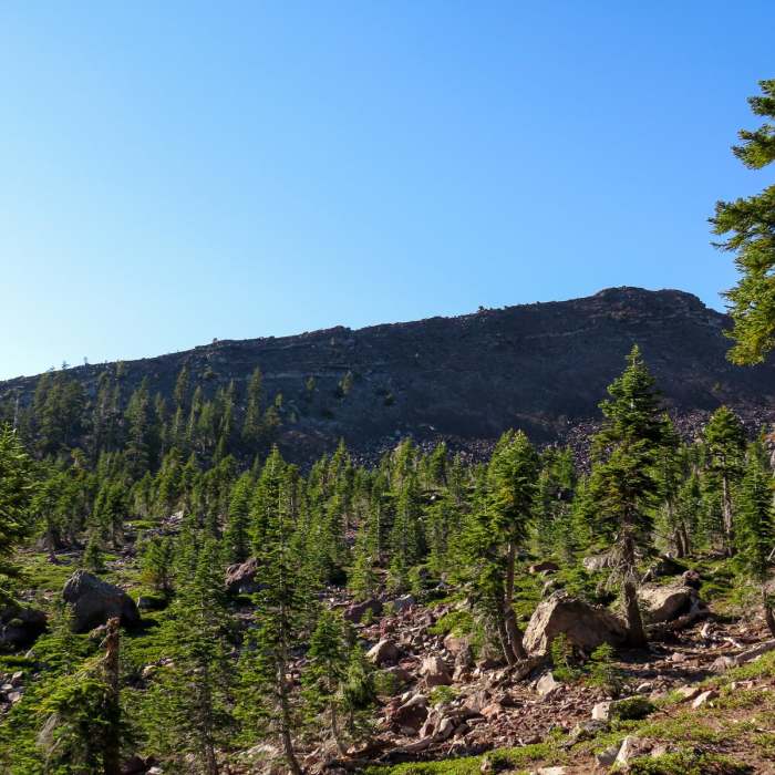 Near Old Ski Bowl via Snow Bunny Flat Trail