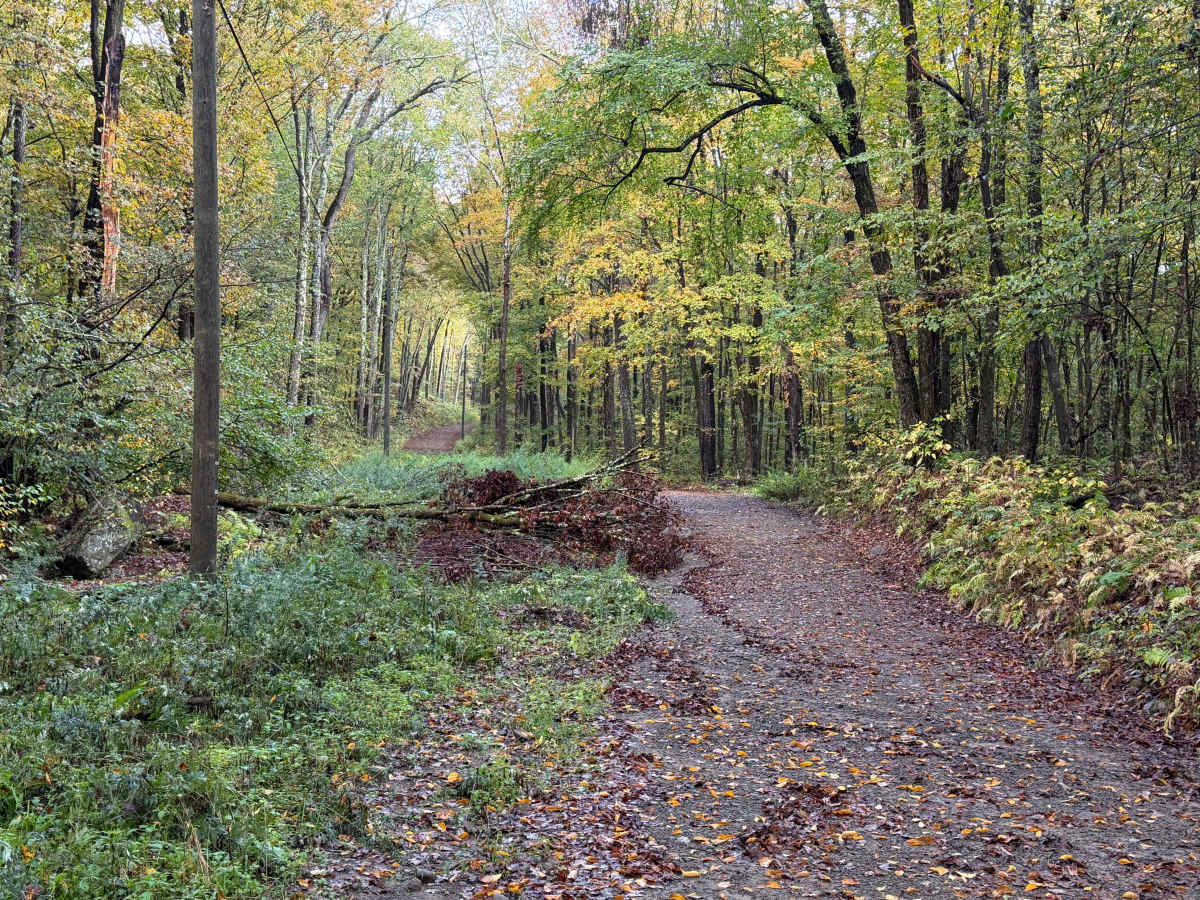 Johnston Road photo 4
