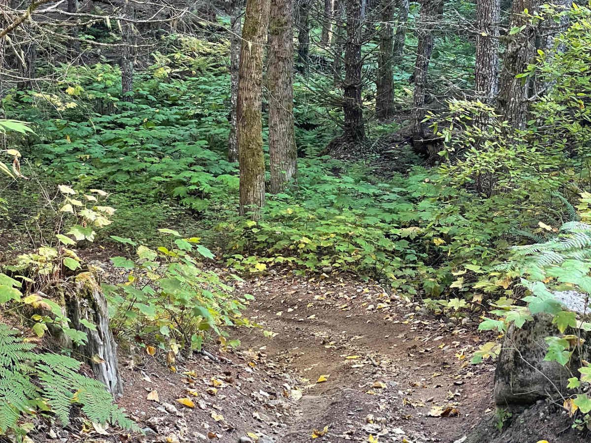 Doubletrack #5 photo 6
