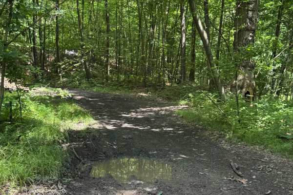 Trail 37