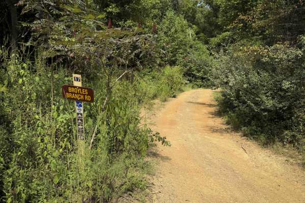 Broyles Branch Trail 17 