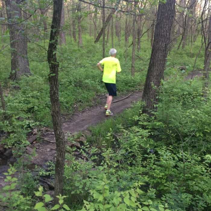 The Orange Trail is popular with runners Near Orange Trail
