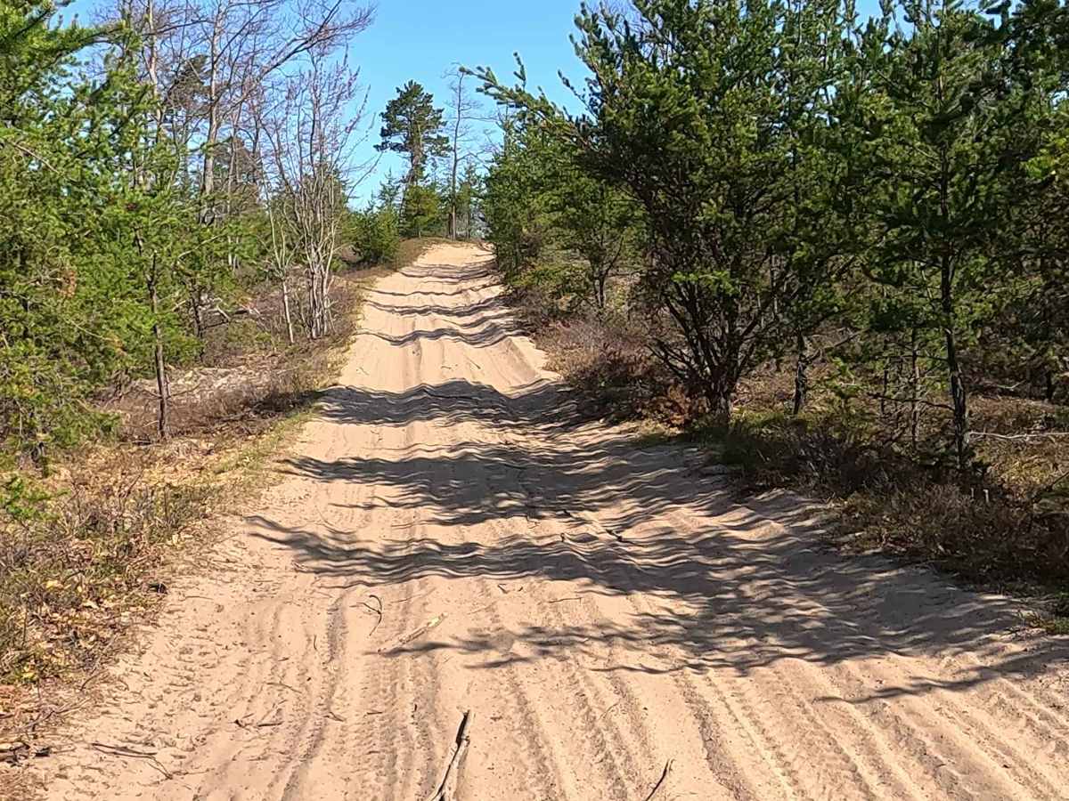 West Wildcat Road photo 5