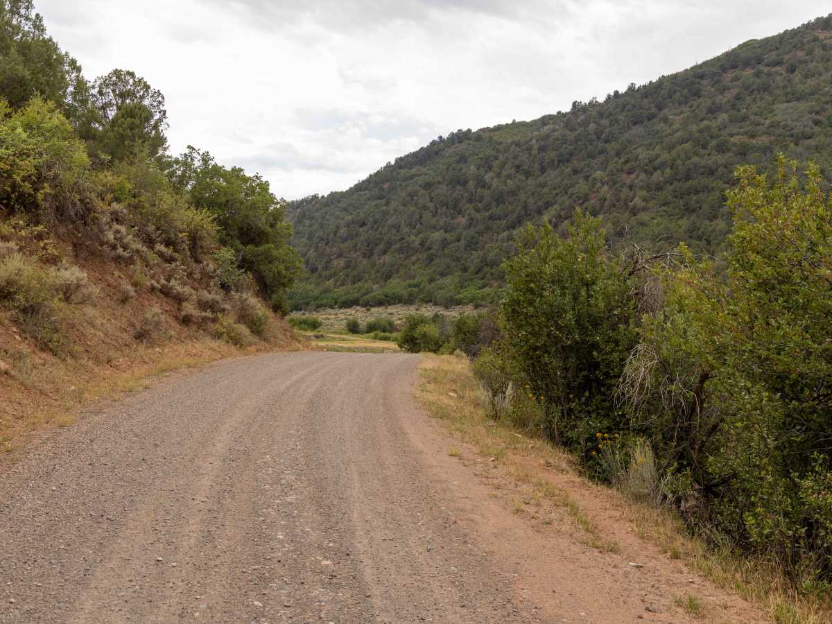 Miller Creek Loop trail photo