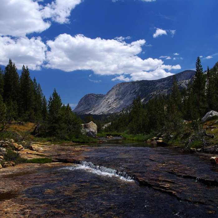 Looking up Fletcher Creek Near Emeric Creek Trail